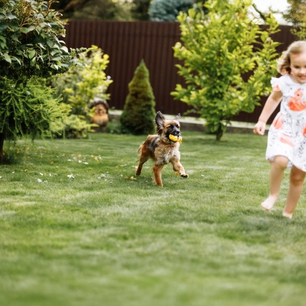 Choosing the right turf