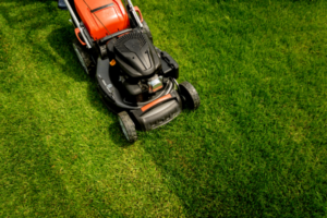 Lawn maintenance