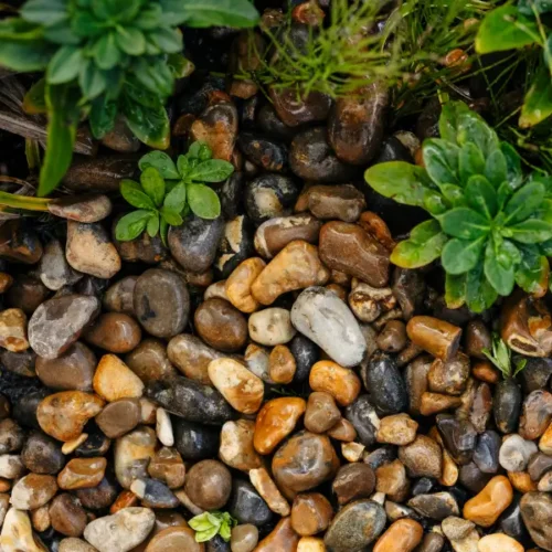 Lydd Pebbles 20mm Rounded Chippings Bulk Bag