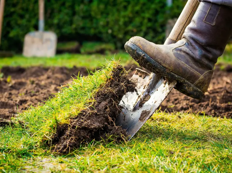 How to prepare the ground to lay turf correctly