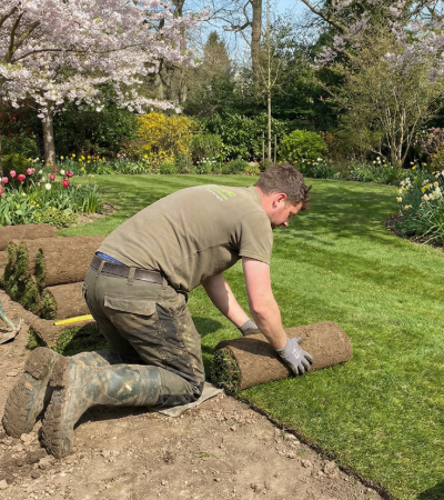 Laying turf in spring
